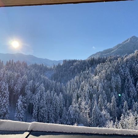 Wohnung Staufenblick Und Wohnung Firstblick Дорнбирн Экстерьер фото
