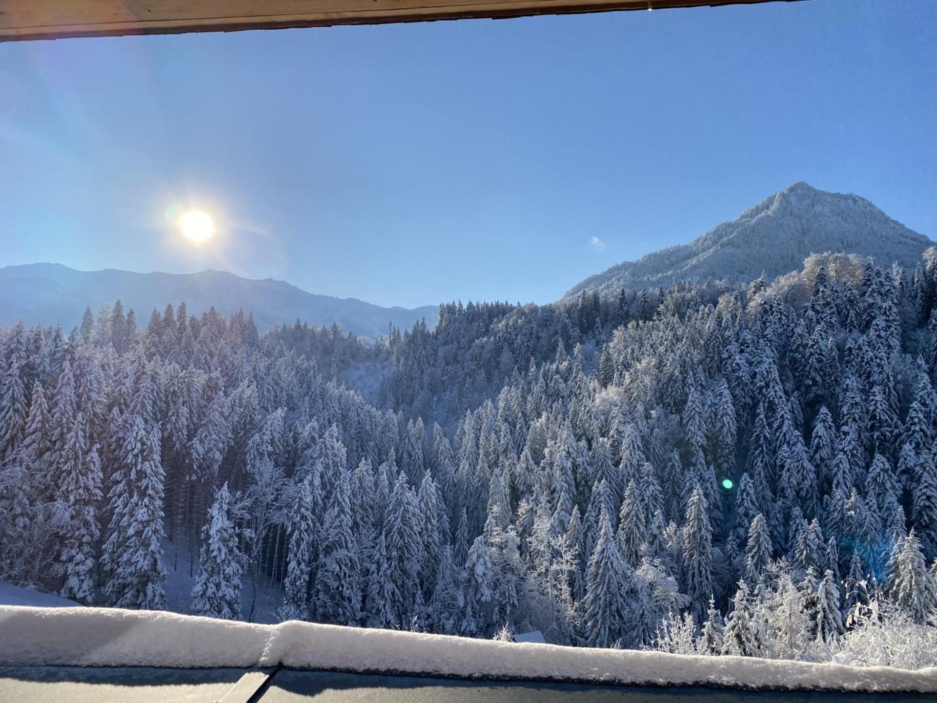 Wohnung Staufenblick Und Wohnung Firstblick Дорнбирн Экстерьер фото