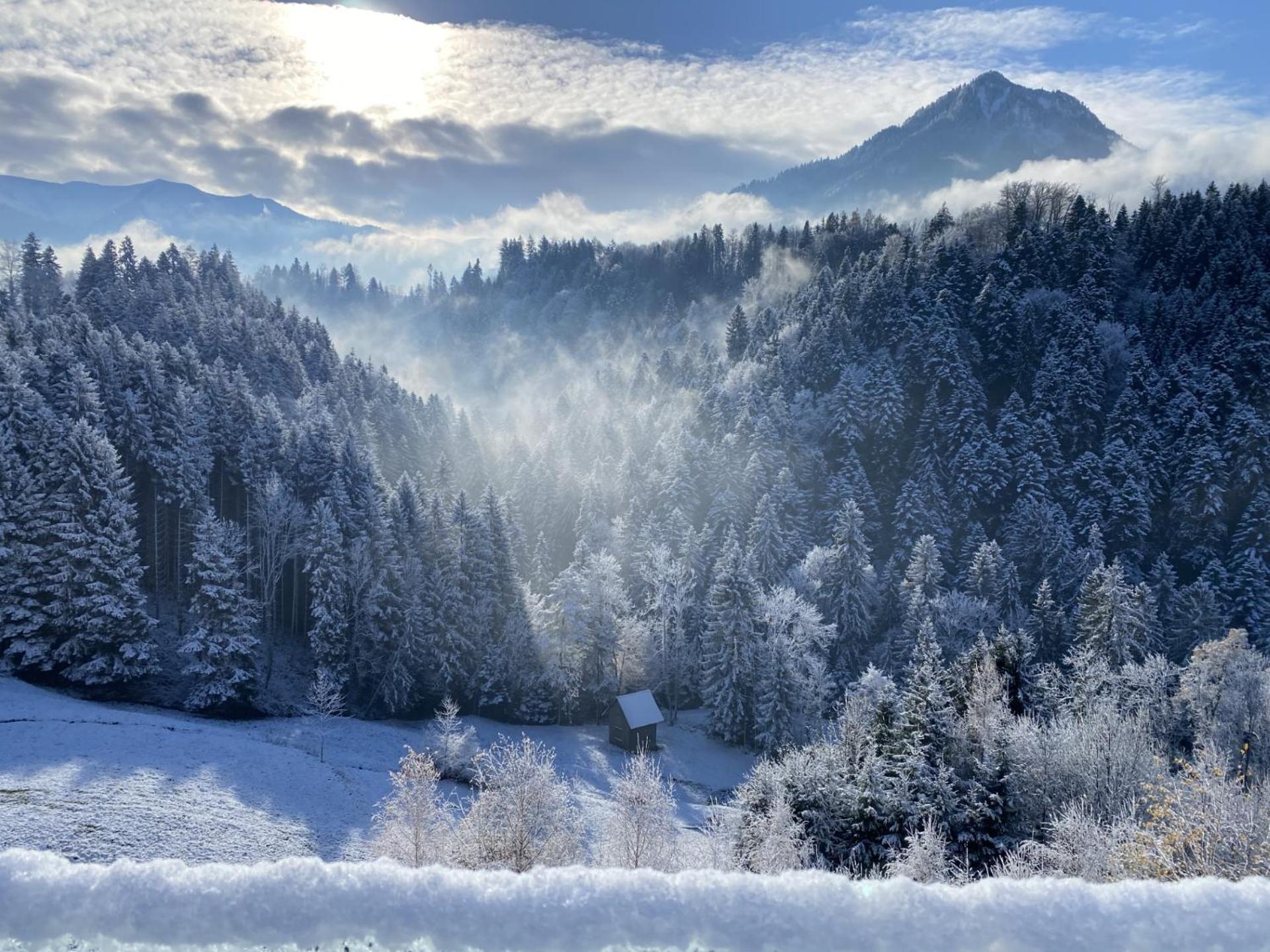 Wohnung Staufenblick Und Wohnung Firstblick Дорнбирн Экстерьер фото