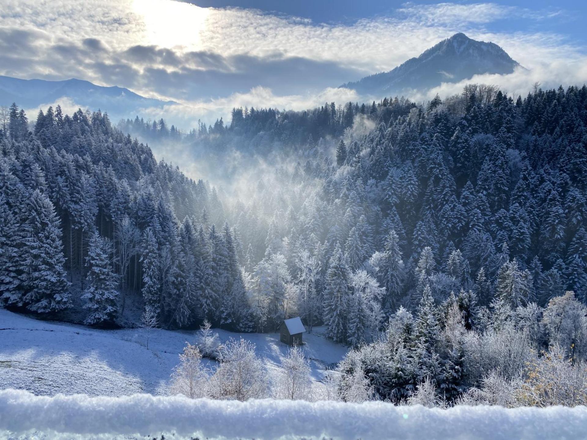 Wohnung Staufenblick Und Wohnung Firstblick Дорнбирн Экстерьер фото