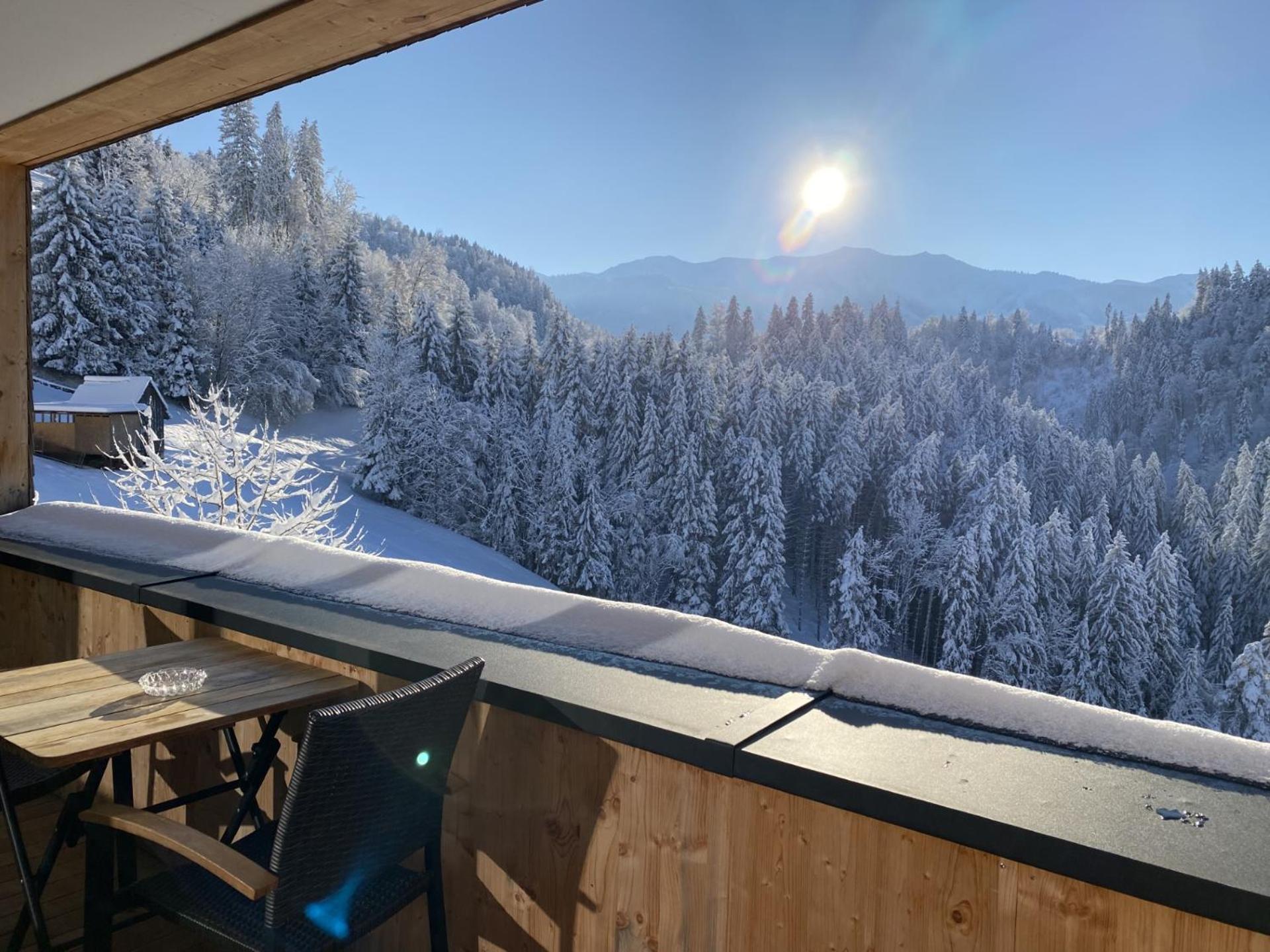 Wohnung Staufenblick Und Wohnung Firstblick Дорнбирн Экстерьер фото